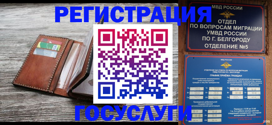временная регистрация гарантия в Удомле